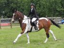 Image 10 in BECCLES AND BUNGAY RIDING CLUB. OPEN SHOW. 19 JUNE 2016. WORKING HUNTERS.