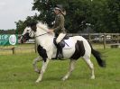 Image 12 in BECCLES AND BUNGAY RIDING CLUB. OPEN SHOW. 19 JUNE 2016. WORKING HUNTERS.