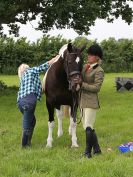Image 16 in BECCLES AND BUNGAY RIDING CLUB. OPEN SHOW. 19 JUNE 2016. WORKING HUNTERS.