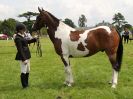 Image 22 in BECCLES AND BUNGAY RIDING CLUB. OPEN SHOW. 19 JUNE 2016. WORKING HUNTERS.