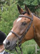 Image 24 in BECCLES AND BUNGAY RIDING CLUB. OPEN SHOW. 19 JUNE 2016. WORKING HUNTERS.