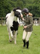 Image 25 in BECCLES AND BUNGAY RIDING CLUB. OPEN SHOW. 19 JUNE 2016. WORKING HUNTERS.