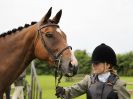 Image 26 in BECCLES AND BUNGAY RIDING CLUB. OPEN SHOW. 19 JUNE 2016. WORKING HUNTERS.
