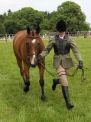 Image 27 in BECCLES AND BUNGAY RIDING CLUB. OPEN SHOW. 19 JUNE 2016. WORKING HUNTERS.