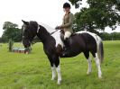 Image 28 in BECCLES AND BUNGAY RIDING CLUB. OPEN SHOW. 19 JUNE 2016. WORKING HUNTERS.