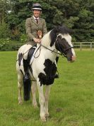 Image 31 in BECCLES AND BUNGAY RIDING CLUB. OPEN SHOW. 19 JUNE 2016. WORKING HUNTERS.