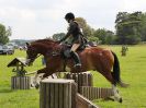Image 34 in BECCLES AND BUNGAY RIDING CLUB. OPEN SHOW. 19 JUNE 2016. WORKING HUNTERS.