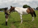 Image 39 in BECCLES AND BUNGAY RIDING CLUB. OPEN SHOW. 19 JUNE 2016. WORKING HUNTERS.