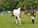 Image 4 in BECCLES AND BUNGAY RIDING CLUB. OPEN SHOW. 19 JUNE 2016. WORKING HUNTERS.