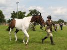 Image 40 in BECCLES AND BUNGAY RIDING CLUB. OPEN SHOW. 19 JUNE 2016. WORKING HUNTERS.