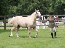 Image 41 in BECCLES AND BUNGAY RIDING CLUB. OPEN SHOW. 19 JUNE 2016. WORKING HUNTERS.