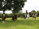 Image 43 in BECCLES AND BUNGAY RIDING CLUB. OPEN SHOW. 19 JUNE 2016. WORKING HUNTERS.