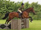 Image 51 in BECCLES AND BUNGAY RIDING CLUB. OPEN SHOW. 19 JUNE 2016. WORKING HUNTERS.