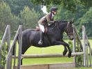 Image 52 in BECCLES AND BUNGAY RIDING CLUB. OPEN SHOW. 19 JUNE 2016. WORKING HUNTERS.