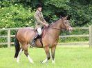Image 57 in BECCLES AND BUNGAY RIDING CLUB. OPEN SHOW. 19 JUNE 2016. WORKING HUNTERS.