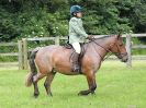 Image 59 in BECCLES AND BUNGAY RIDING CLUB. OPEN SHOW. 19 JUNE 2016. WORKING HUNTERS.