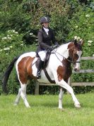 Image 6 in BECCLES AND BUNGAY RIDING CLUB. OPEN SHOW. 19 JUNE 2016. WORKING HUNTERS.