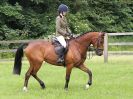 Image 60 in BECCLES AND BUNGAY RIDING CLUB. OPEN SHOW. 19 JUNE 2016. WORKING HUNTERS.