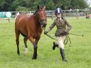 Image 65 in BECCLES AND BUNGAY RIDING CLUB. OPEN SHOW. 19 JUNE 2016. WORKING HUNTERS.