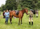 Image 66 in BECCLES AND BUNGAY RIDING CLUB. OPEN SHOW. 19 JUNE 2016. WORKING HUNTERS.