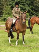 Image 68 in BECCLES AND BUNGAY RIDING CLUB. OPEN SHOW. 19 JUNE 2016. WORKING HUNTERS.