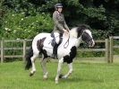 Image 7 in BECCLES AND BUNGAY RIDING CLUB. OPEN SHOW. 19 JUNE 2016. WORKING HUNTERS.