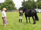 Image 70 in BECCLES AND BUNGAY RIDING CLUB. OPEN SHOW. 19 JUNE 2016. WORKING HUNTERS.