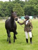 Image 71 in BECCLES AND BUNGAY RIDING CLUB. OPEN SHOW. 19 JUNE 2016. WORKING HUNTERS.
