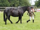 Image 73 in BECCLES AND BUNGAY RIDING CLUB. OPEN SHOW. 19 JUNE 2016. WORKING HUNTERS.