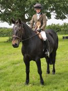 Image 76 in BECCLES AND BUNGAY RIDING CLUB. OPEN SHOW. 19 JUNE 2016. WORKING HUNTERS.