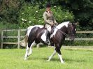 Image 8 in BECCLES AND BUNGAY RIDING CLUB. OPEN SHOW. 19 JUNE 2016. WORKING HUNTERS.