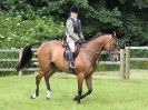 Image 9 in BECCLES AND BUNGAY RIDING CLUB. OPEN SHOW. 19 JUNE 2016. WORKING HUNTERS.
