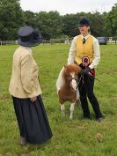 Image 101 in BECCLES AND BUNGAY RIDING CLUB. OPEN SHOW. 19 JUNE 2016. RINGS 2 3 AND 4