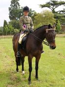 Image 102 in BECCLES AND BUNGAY RIDING CLUB. OPEN SHOW. 19 JUNE 2016. RINGS 2 3 AND 4