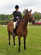 Image 105 in BECCLES AND BUNGAY RIDING CLUB. OPEN SHOW. 19 JUNE 2016. RINGS 2 3 AND 4
