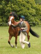 Image 107 in BECCLES AND BUNGAY RIDING CLUB. OPEN SHOW. 19 JUNE 2016. RINGS 2  3  AND 4