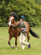 Image 107 in BECCLES AND BUNGAY RIDING CLUB. OPEN SHOW. 19 JUNE 2016. RINGS 2 3 AND 4
