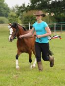 Image 110 in BECCLES AND BUNGAY RIDING CLUB. OPEN SHOW. 19 JUNE 2016. RINGS 2 3 AND 4