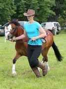 Image 111 in BECCLES AND BUNGAY RIDING CLUB. OPEN SHOW. 19 JUNE 2016. RINGS 2 3 AND 4