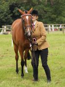Image 114 in BECCLES AND BUNGAY RIDING CLUB. OPEN SHOW. 19 JUNE 2016. RINGS 2  3  AND 4