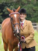 Image 115 in BECCLES AND BUNGAY RIDING CLUB. OPEN SHOW. 19 JUNE 2016. RINGS 2  3  AND 4