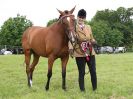 Image 117 in BECCLES AND BUNGAY RIDING CLUB. OPEN SHOW. 19 JUNE 2016. RINGS 2 3 AND 4