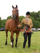 Image 118 in BECCLES AND BUNGAY RIDING CLUB. OPEN SHOW. 19 JUNE 2016. RINGS 2  3  AND 4