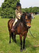 Image 124 in BECCLES AND BUNGAY RIDING CLUB. OPEN SHOW. 19 JUNE 2016. RINGS 2  3  AND 4