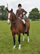 Image 126 in BECCLES AND BUNGAY RIDING CLUB. OPEN SHOW. 19 JUNE 2016. RINGS 2  3  AND 4