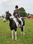 Image 127 in BECCLES AND BUNGAY RIDING CLUB. OPEN SHOW. 19 JUNE 2016. RINGS 2  3  AND 4