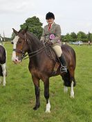 Image 128 in BECCLES AND BUNGAY RIDING CLUB. OPEN SHOW. 19 JUNE 2016. RINGS 2  3  AND 4