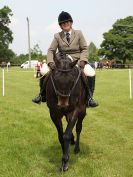 Image 130 in BECCLES AND BUNGAY RIDING CLUB. OPEN SHOW. 19 JUNE 2016. RINGS 2  3  AND 4