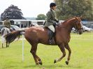 Image 131 in BECCLES AND BUNGAY RIDING CLUB. OPEN SHOW. 19 JUNE 2016. RINGS 2  3  AND 4