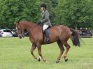 Image 133 in BECCLES AND BUNGAY RIDING CLUB. OPEN SHOW. 19 JUNE 2016. RINGS 2  3  AND 4